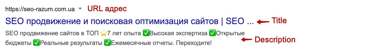 Замовити мета-теги в SEO агентстві